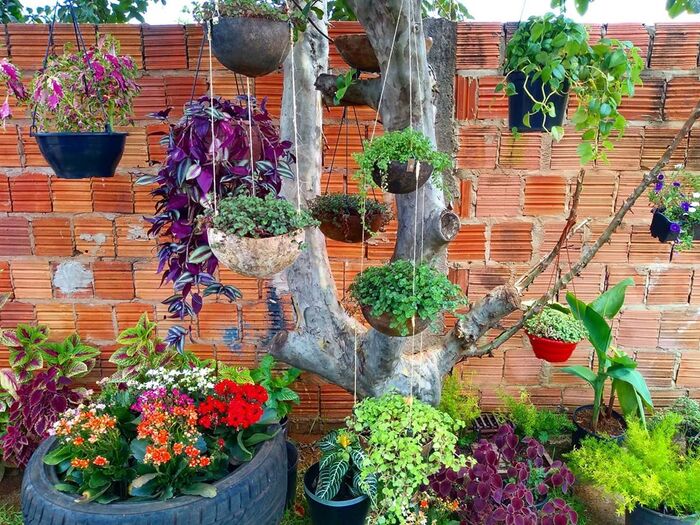 jardim-pequeno-barato Jardim Simples: Como montar um pequeno e bonito jardim gastando pouco