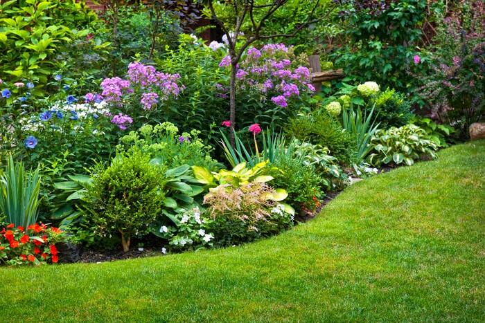 plantas-para-jardim Plantas para Jardins: Melhores Tipos
