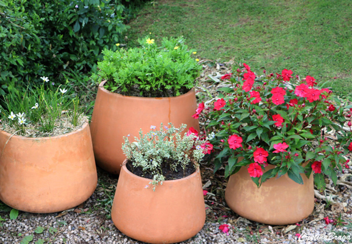 vasos-no-jardim-plantas-rasteiras Como usar vasos de flores no Jardim